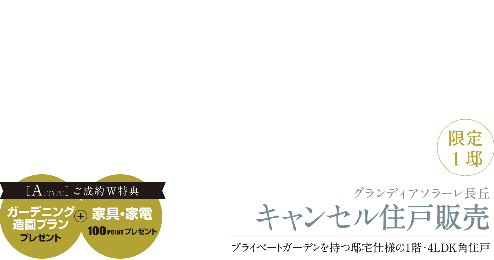 キャンセル住戸販売／限定1邸